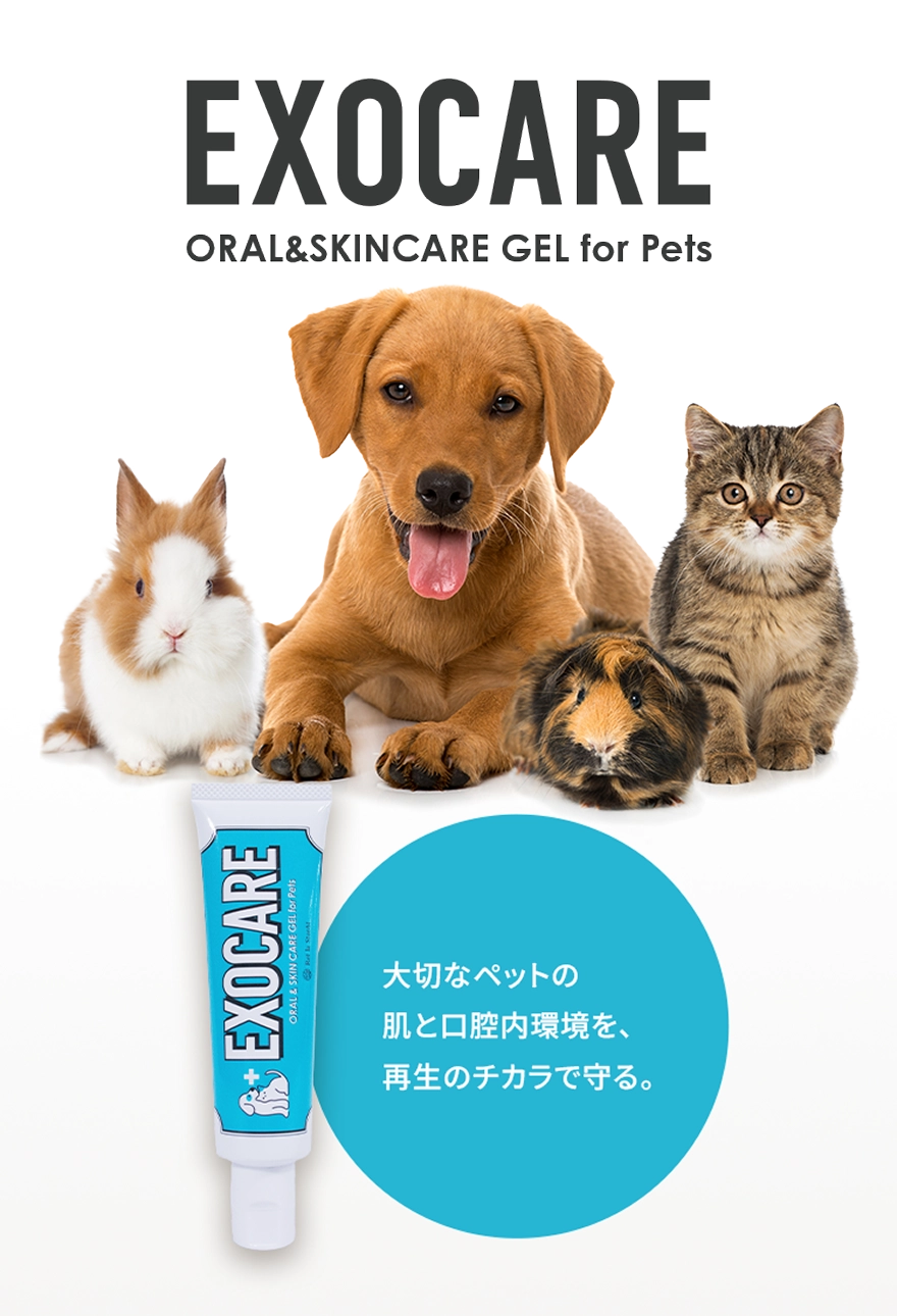 EXOCARE 犬用エクソソーム配合オールインワンジェル